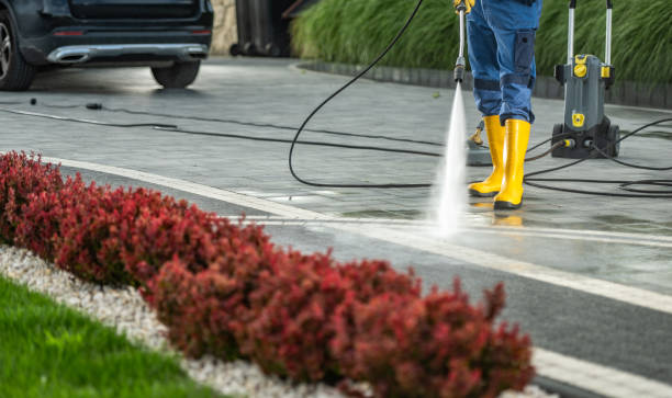 Best Patio and Deck Pressure Washing  in Daleville, VA