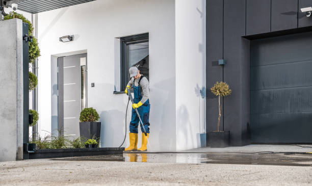 Best Pre-Holiday Cleaning  in Daleville, VA